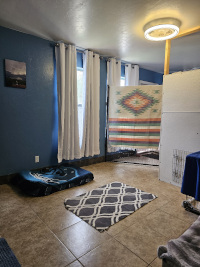 dog playroom